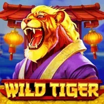 Download Do Aplicativo De Login Do Qbet Casino